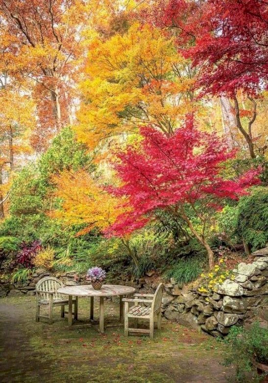 Осенние краски. онлайн-пазл