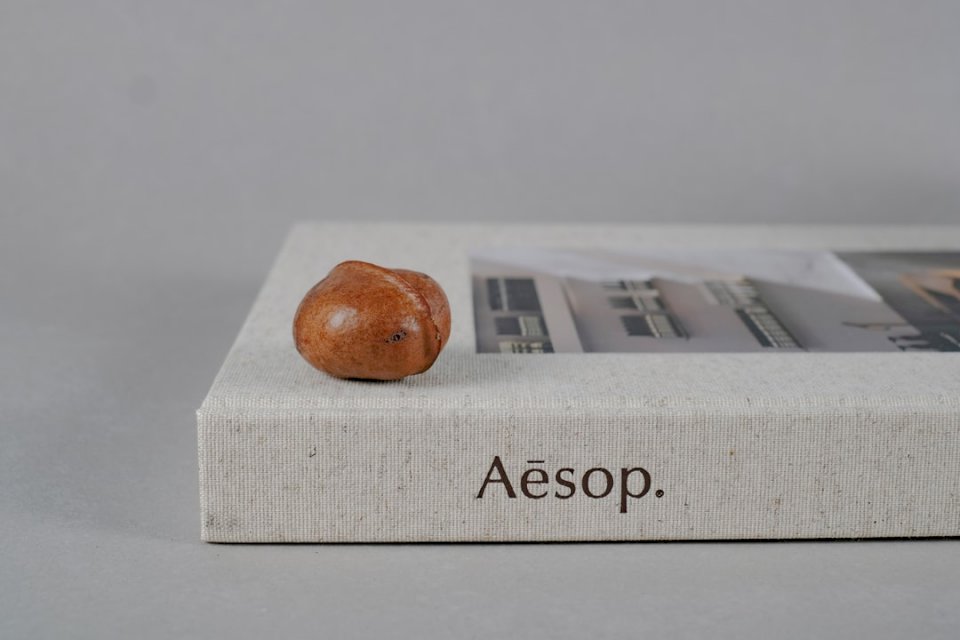 Kniha Aesop skládačky online