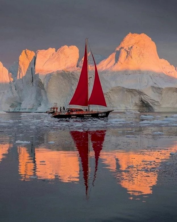 La Antártida. rompecabezas en línea