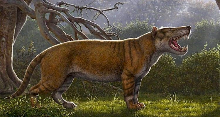 Prähistorischer wilder Löwe Puzzlespiel online