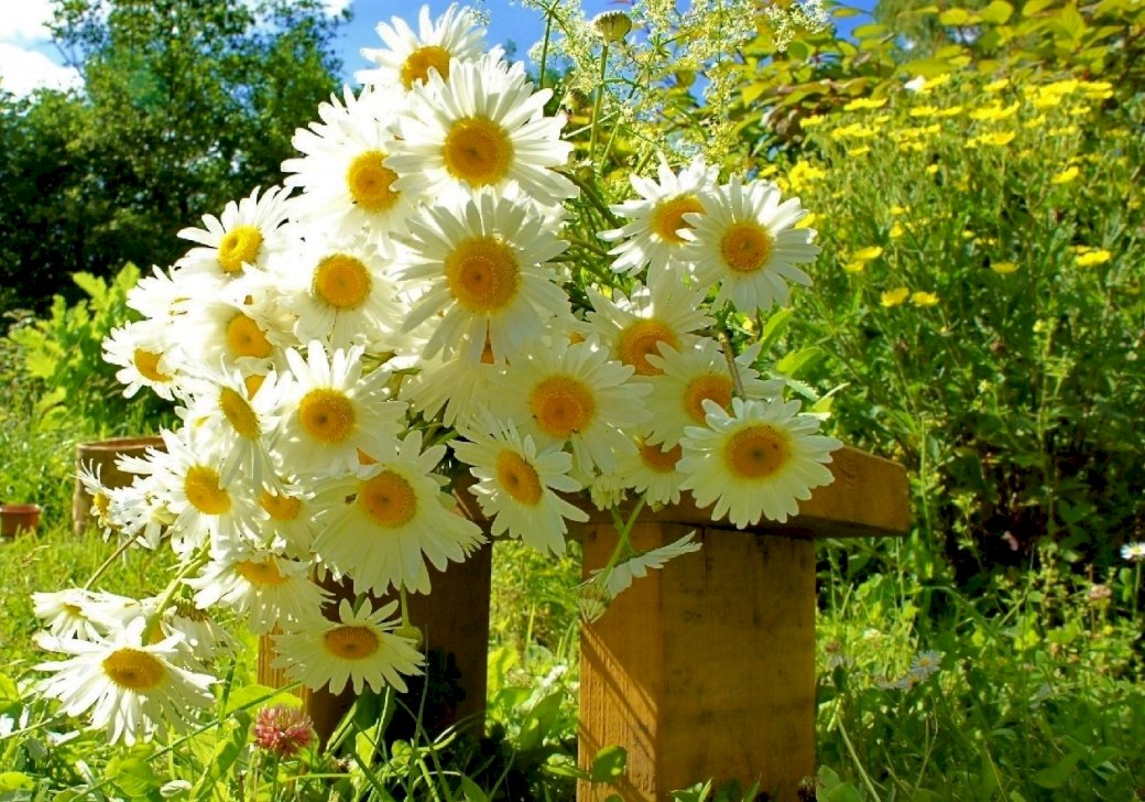 Blommabukett på en bänk pussel på nätet