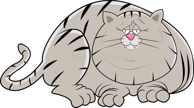 дивовижно великий товстий кіт онлайн пазл