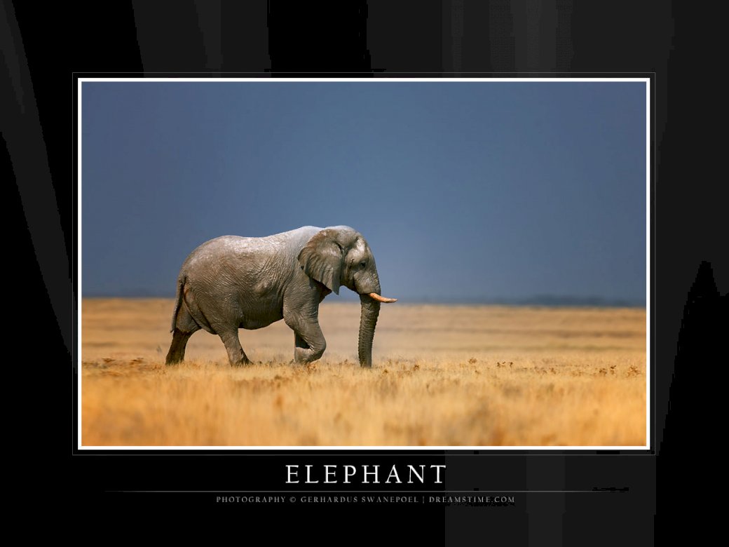 Ελέφαντας  онлайн пъзел