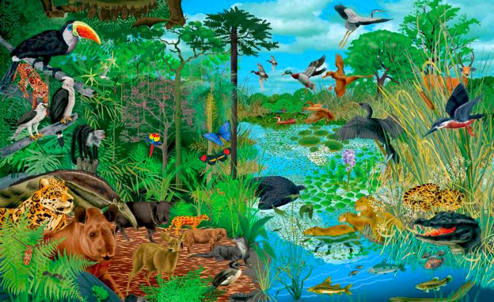 Natürliches Ökosystem Puzzlespiel online