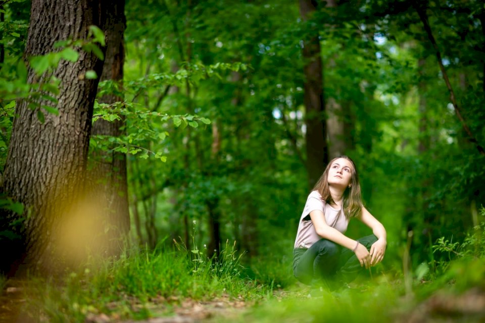 Copil, fată, pădure, singur, puzzle online