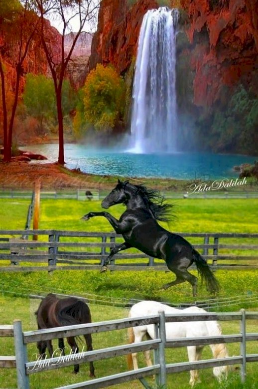Paarden in een prachtig landschap online puzzel