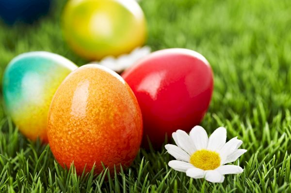 Painted eggs jigsaw puzzle online