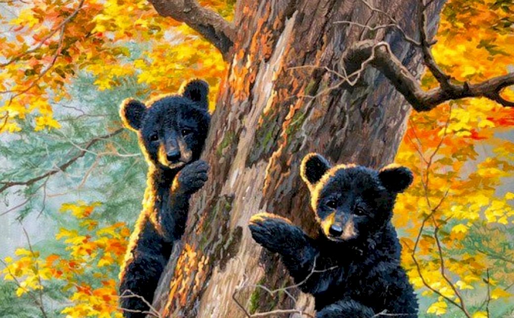 Orso bambini puzzle online