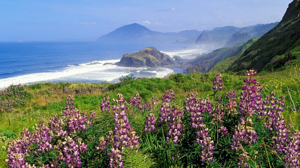 mountains_coast_sea_waves_flowers_greens_ Pussel online