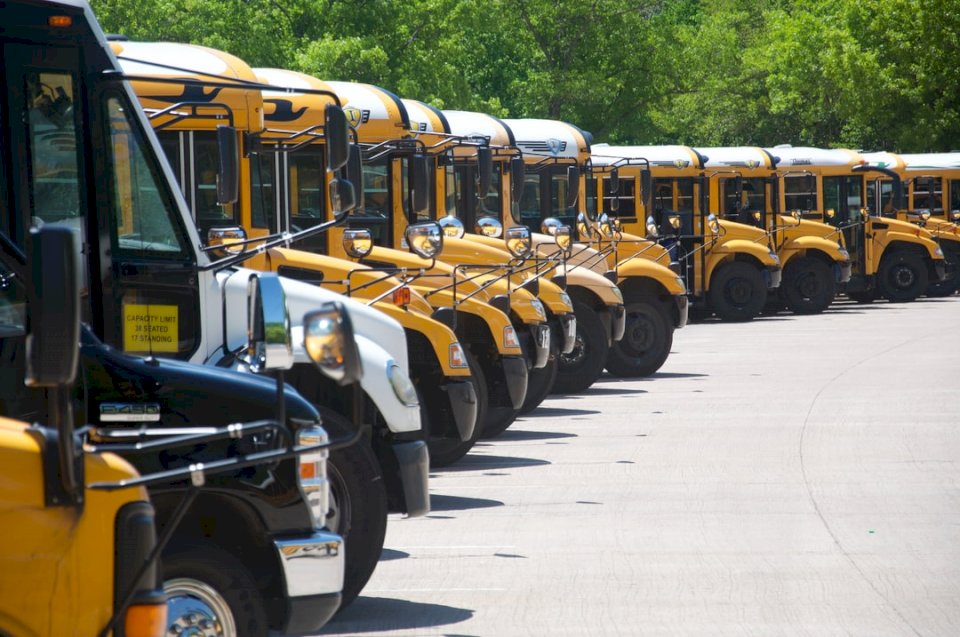 шкільні автобуси онлайн пазл