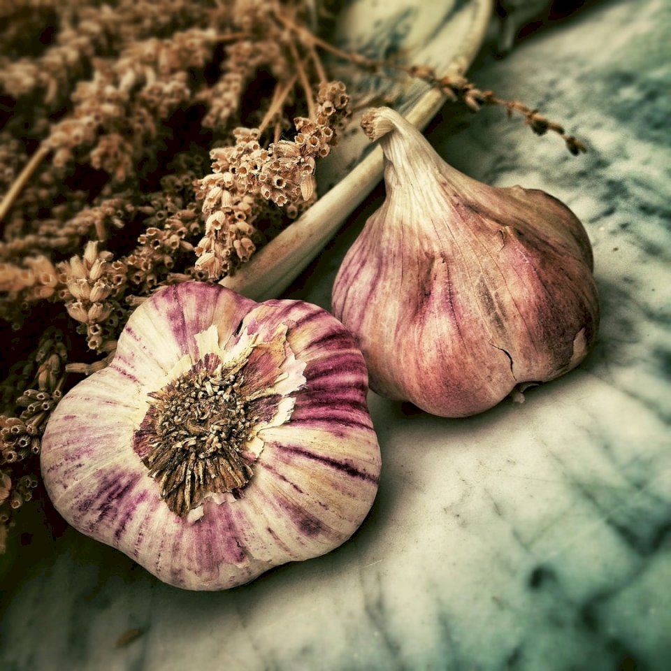 Garlic and Herbs online puzzle