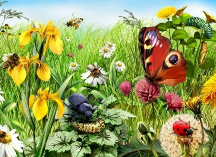 луг, насекомые, цветы пазл онлайн
