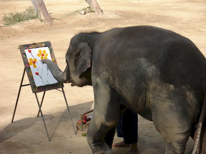 elefant i Chiang Mai park Pussel online