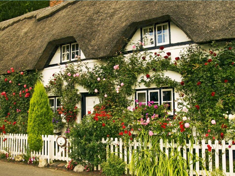 frumoasă casă cu flori puzzle online