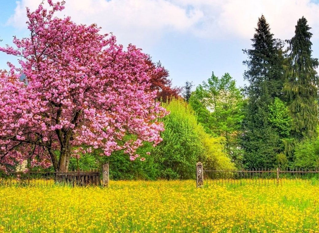 Пролетна поляна и дървета онлайн пъзел