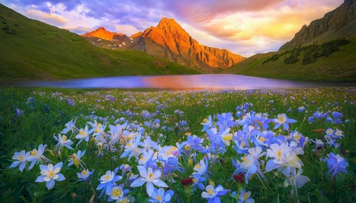 Sjöar i bergen, blå blommor Pussel online