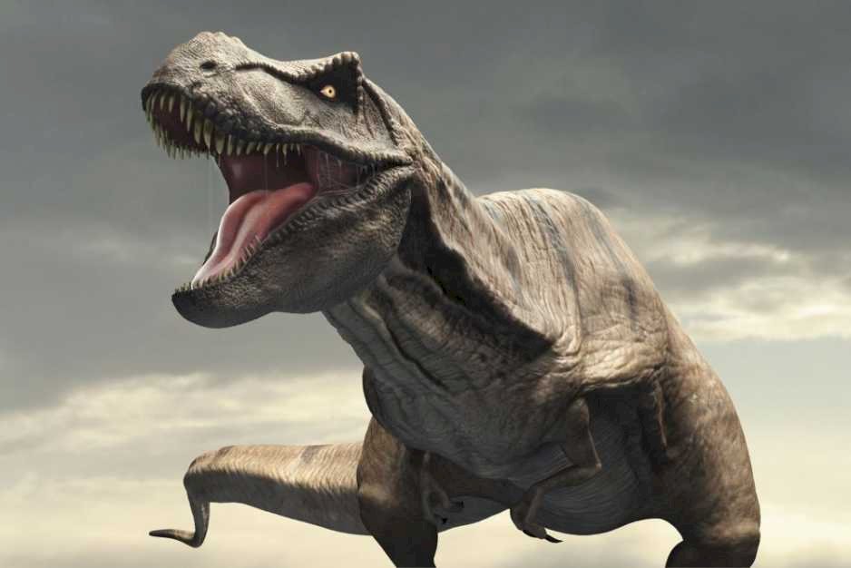 t-rex král dinosaurů online puzzle