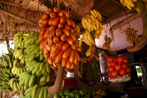 Африкански плодове онлайн пъзел