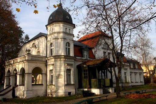 Ольштынский музей природы пазл онлайн