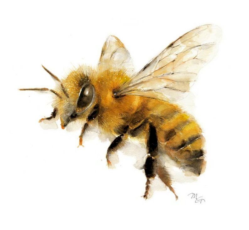 BEE jigsaw puzzle online