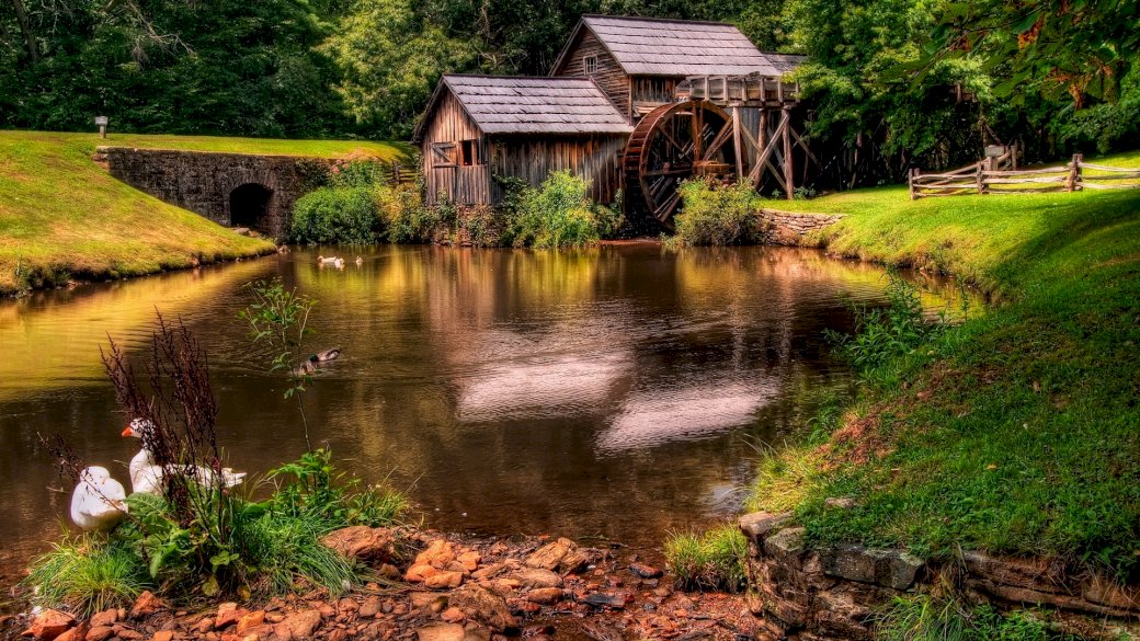 pond_geese_lodges_mill Puzzlespiel online