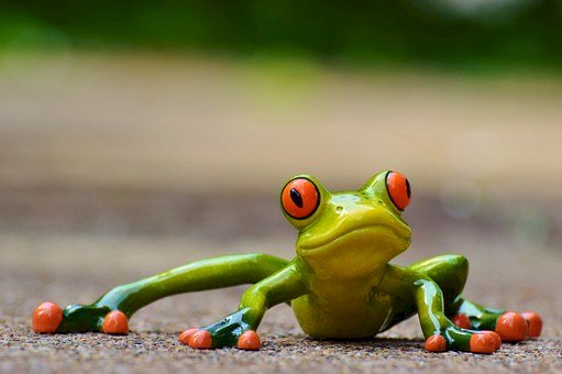 Karate frog - Stas online puzzle