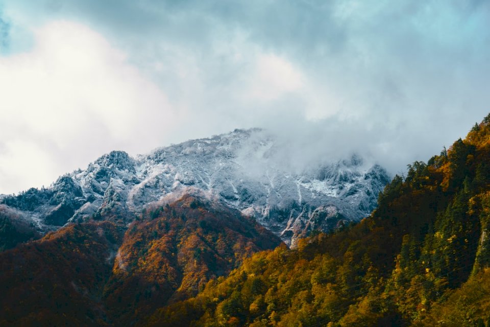 Japanska Alperna pussel på nätet