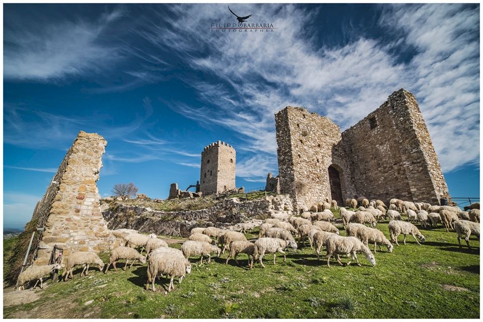 die Herde zum Schloss von Cefalà Diana Puzzlespiel online
