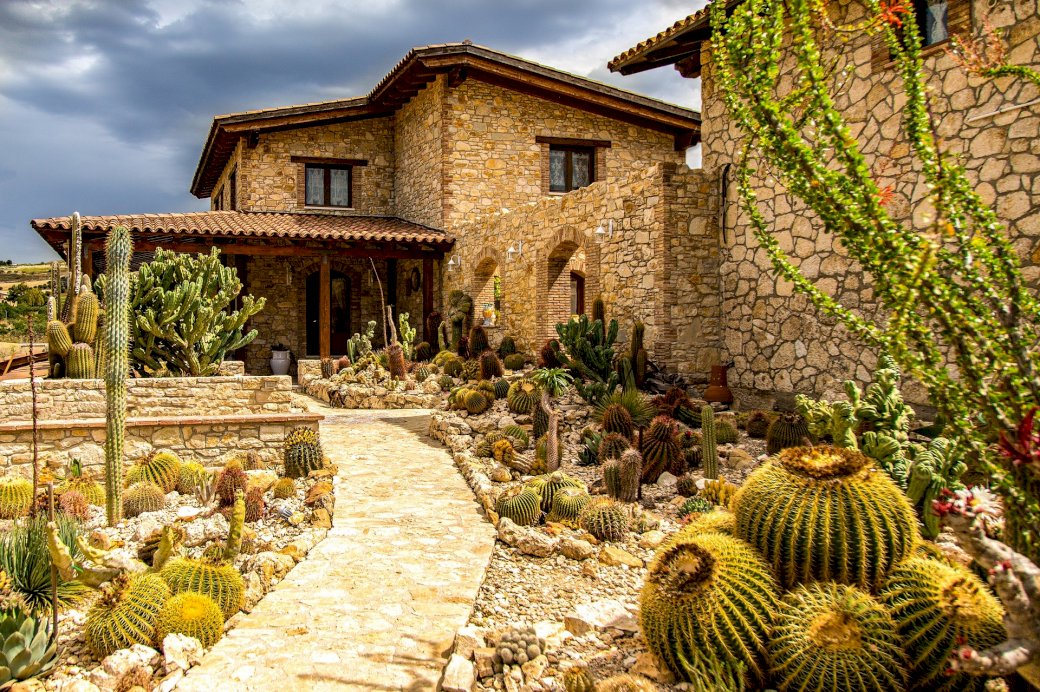 Ett hus bland kaktusar Pussel online