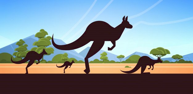 kangourous puzzle en ligne