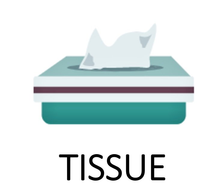 JIGSAW TISSUE jigsaw puzzle online