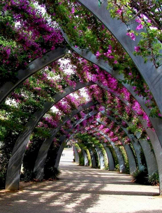 花のトンネル。 ジグソーパズルオンライン