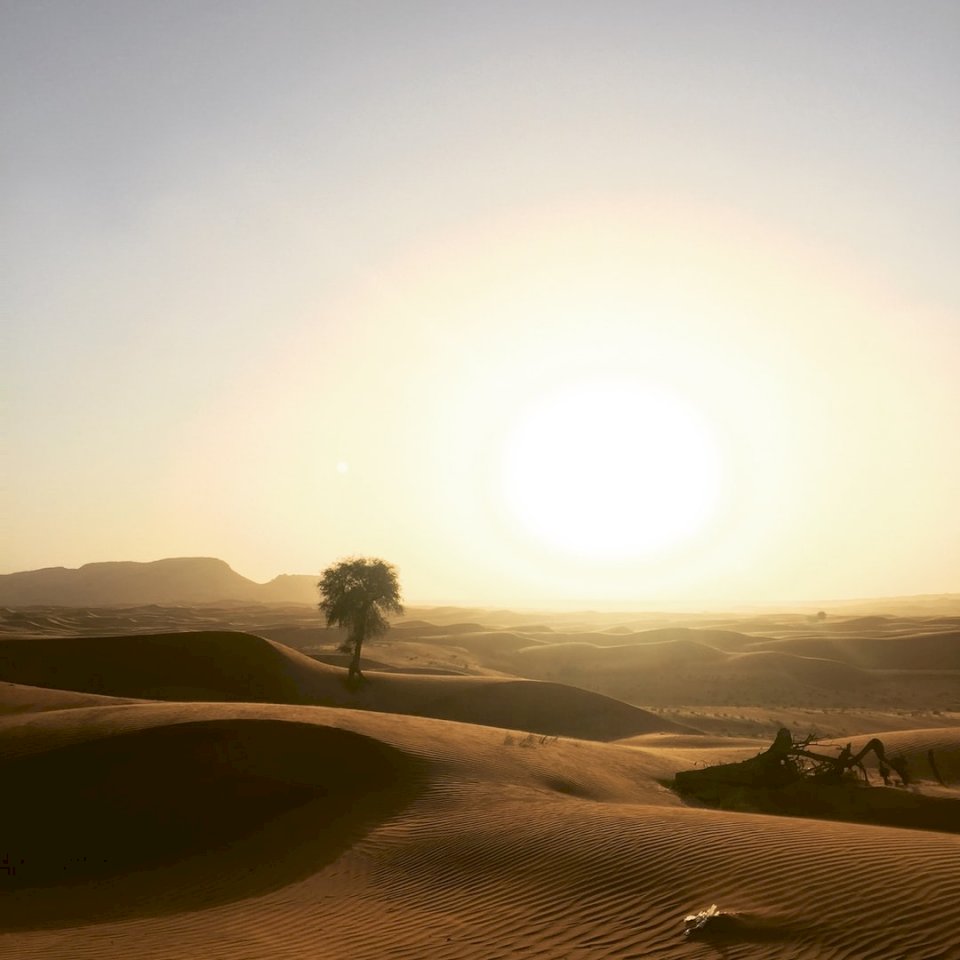 Dubajská poušť skládačky online