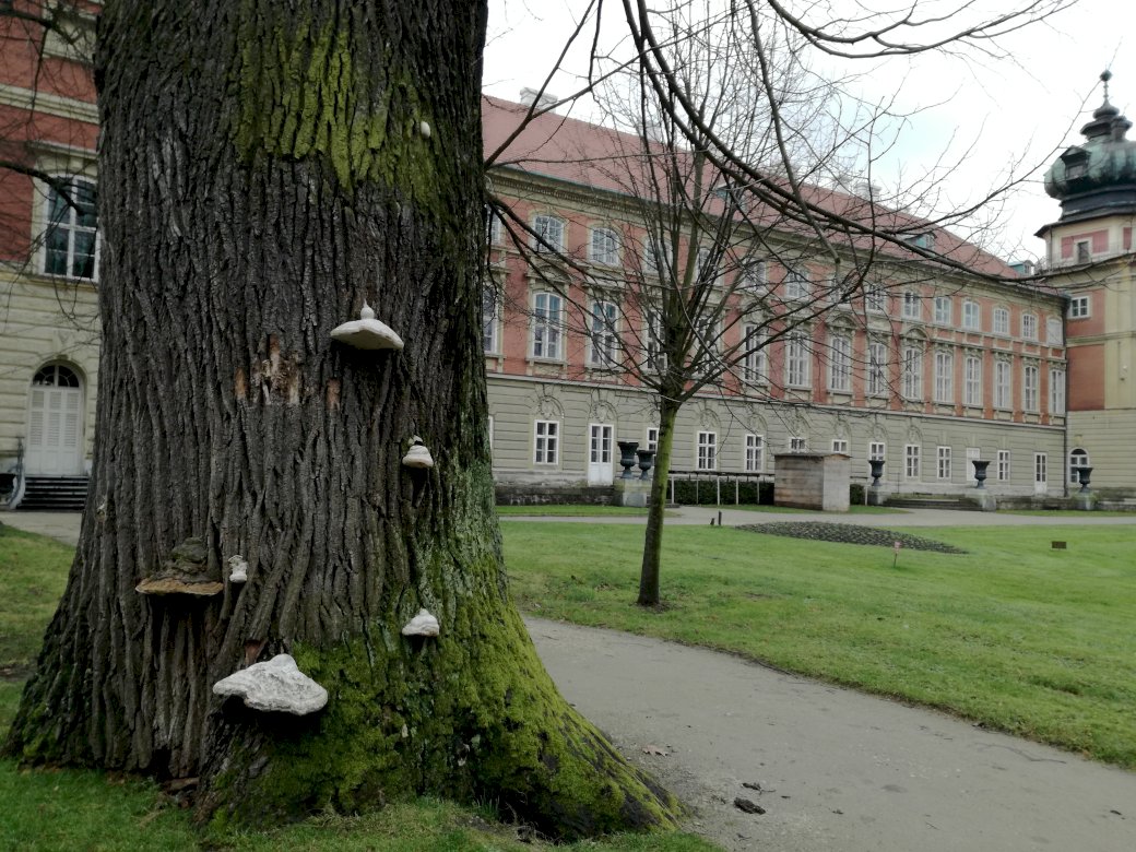 Parque del castillo en Łańcut rompecabezas en línea