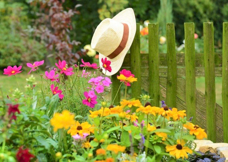 V zahradě, květiny, plot, klobouk skládačky online