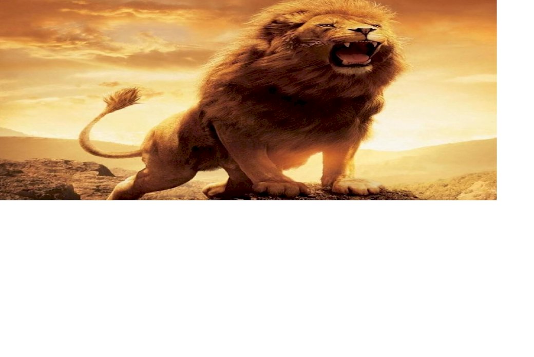 oroszlán kép kirakós online