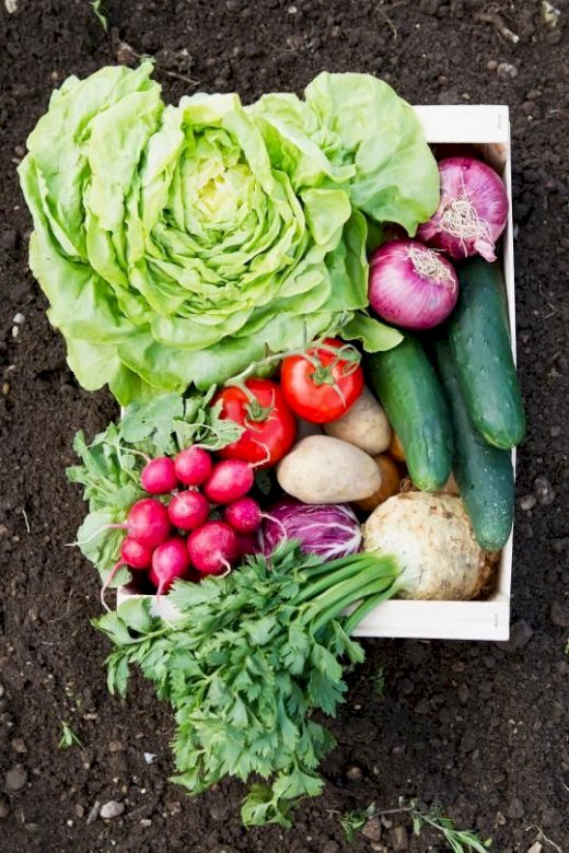 Sănătatea din legum онлайн пъзел