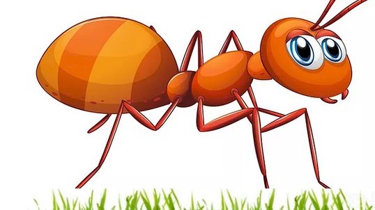 Eine kleine Ameise auf dem Feld Puzzlespiel online