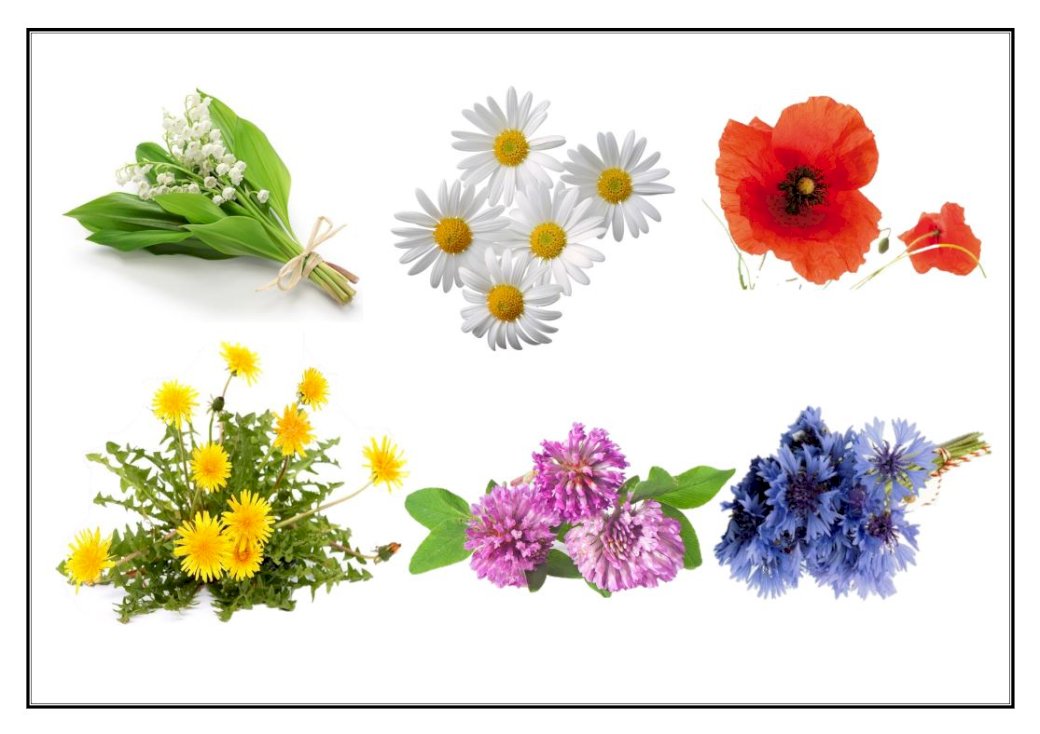 Flori răspândite peste iarbă puzzle online