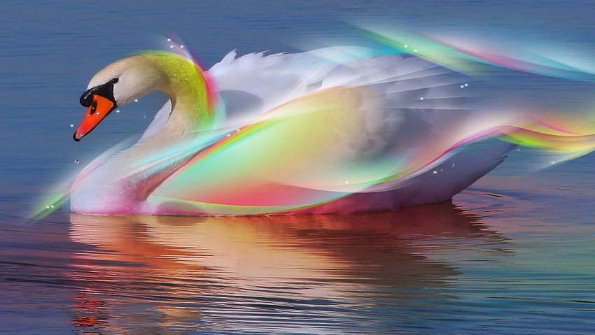 Cisne colorido :) quebra-cabeças online