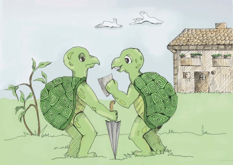 Twee schildpadden legpuzzel online