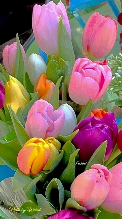 Un bouquet de tulipes puzzle en ligne