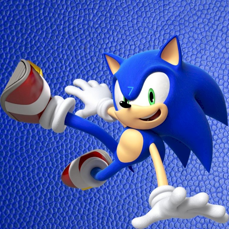 Sonic in Aktion Online-Puzzle