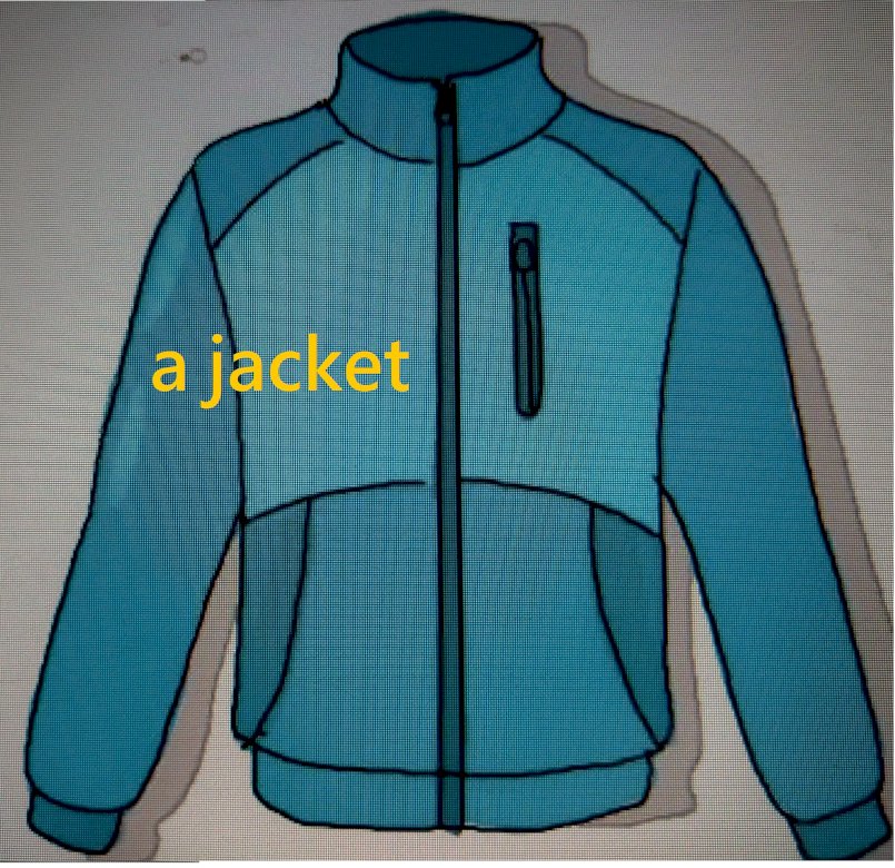 Questa è una giacca. puzzle online
