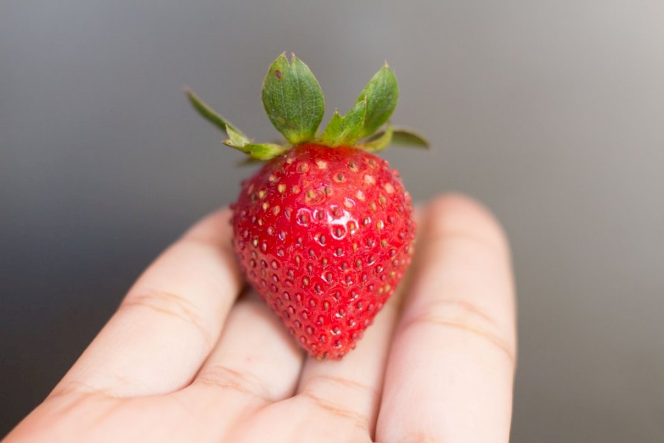 Färska jordgubbar Pussel online
