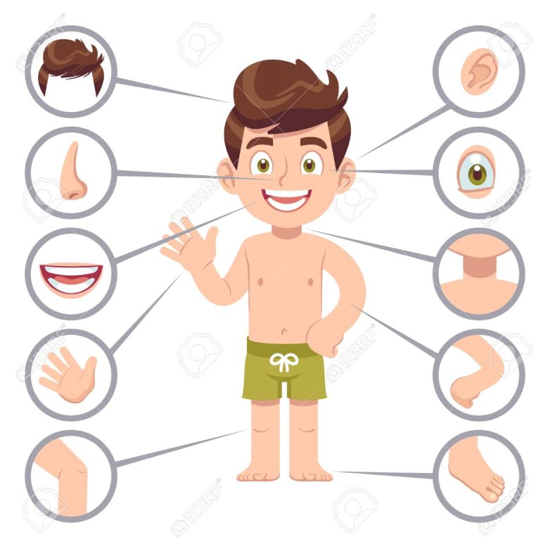 Human body parts jigsaw puzzle online