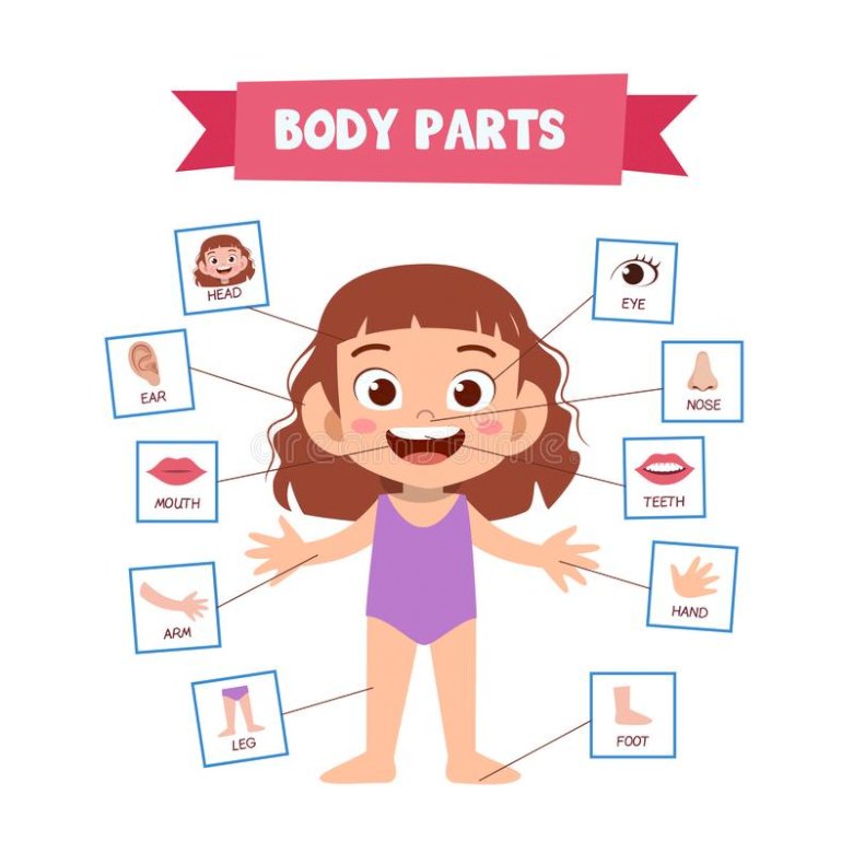 My body parts jigsaw puzzle online