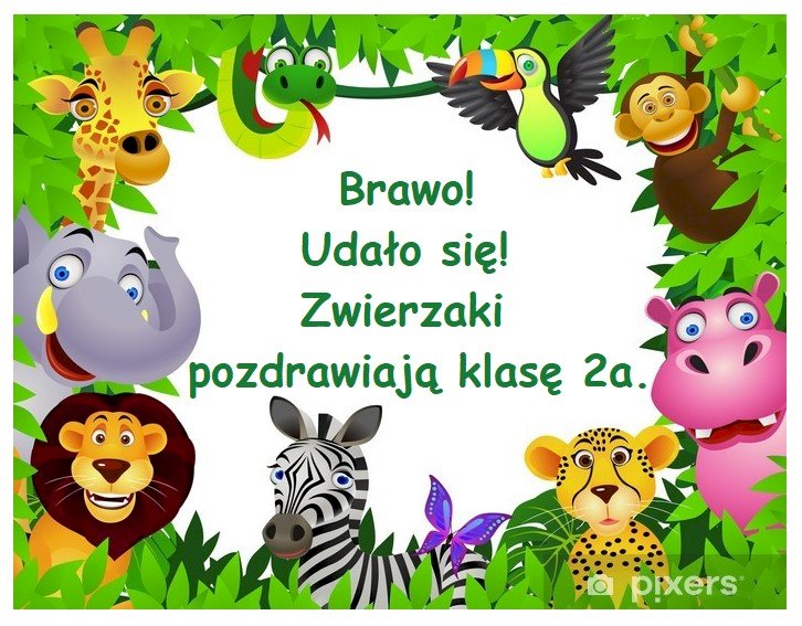 Zoo - class 2a online puzzle
