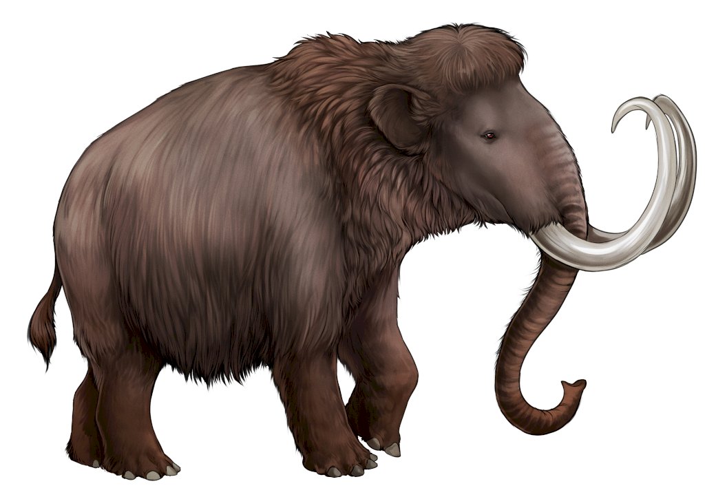 Quebra-cabeça com um mamute puzzle online