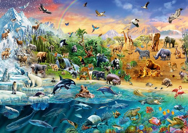 Il regno degli animali. puzzle online